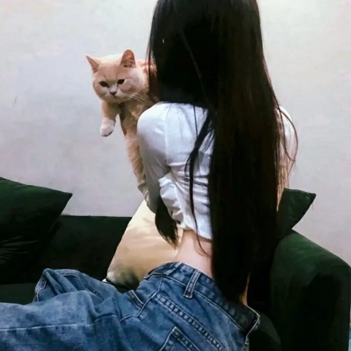 逐彩虹去